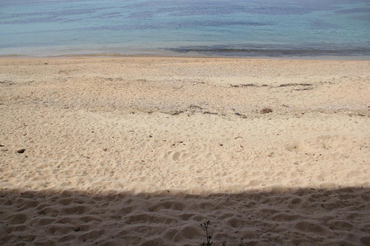 Studio Pieds Dans L'Eau Ajaccio  Exteriör bild